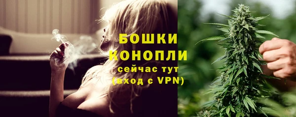 ешки Аркадак