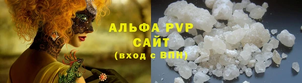 ешки Аркадак