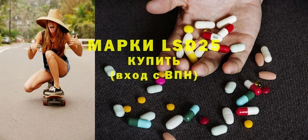ешки Аркадак