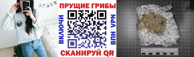 Галлюциногенные грибы Psilocybe  кракен ONION  Чебаркуль 