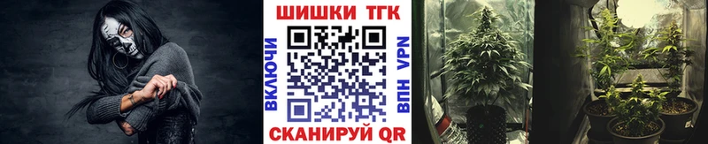 kraken tor  Чебаркуль  Марихуана Amnesia 